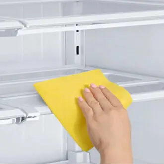 Refrigerator Cleaning Maintenance Service